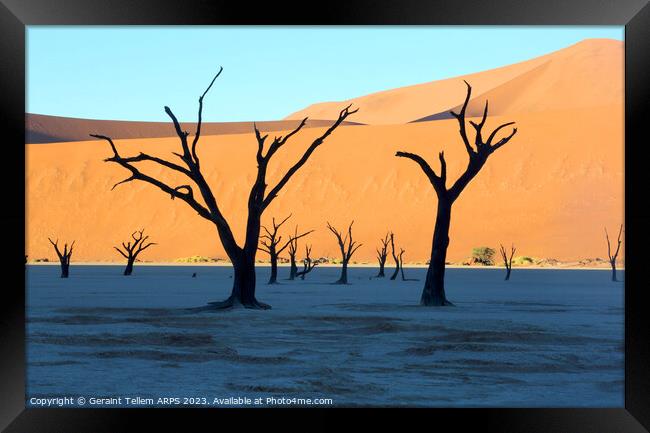 Dead Vlei desiccated trees, Sossusvlei, Namibia, Africa Framed Print by Geraint Tellem ARPS