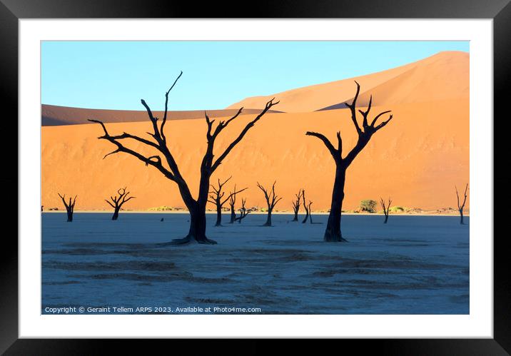 Dead Vlei desiccated trees, Sossusvlei, Namibia, Africa Framed Mounted Print by Geraint Tellem ARPS