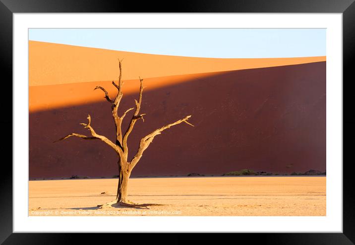 Dead Vlei, Sossusvlei, Namibia, Africa Framed Mounted Print by Geraint Tellem ARPS