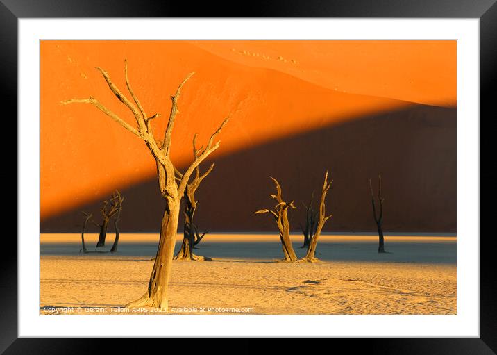 Dead Vlei, Sossusvlei, Namibia, Africa Framed Mounted Print by Geraint Tellem ARPS
