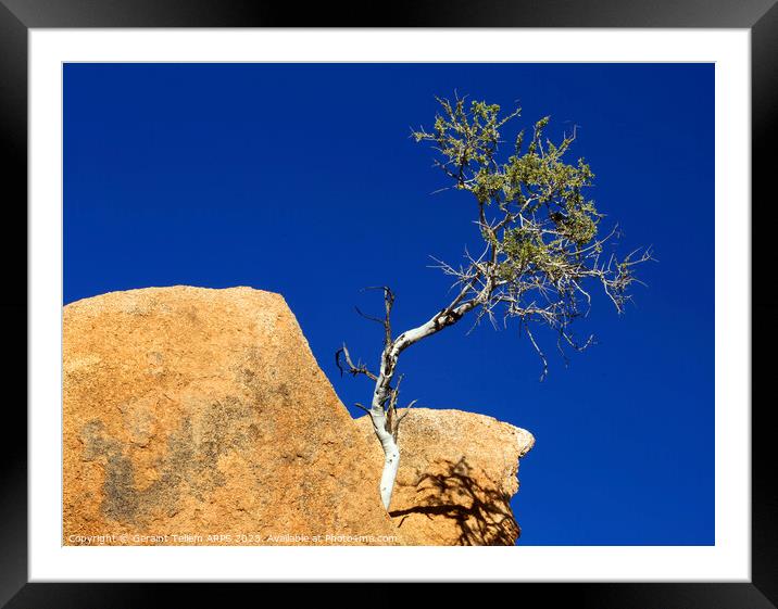 Lone tree, granite rocks, Spitzkoppe, Namibia, Africa Framed Mounted Print by Geraint Tellem ARPS
