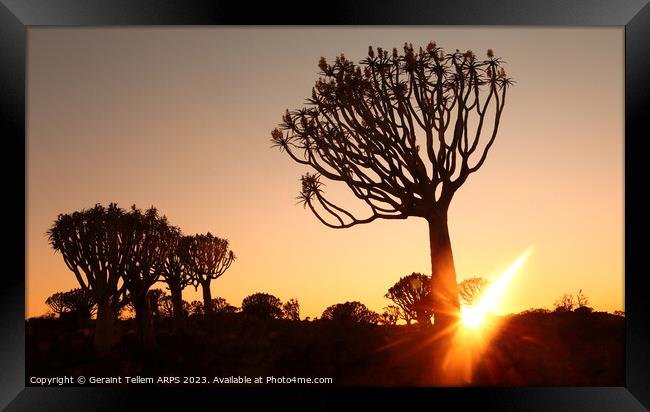 Sunset, Quiver Tree Forest, Keetmanshoop, Southern Namibia Framed Print by Geraint Tellem ARPS