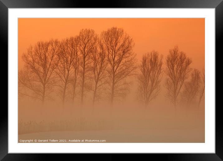 Trees in freezing mist, The fens, Norfolk, England, UK Framed Mounted Print by Geraint Tellem ARPS