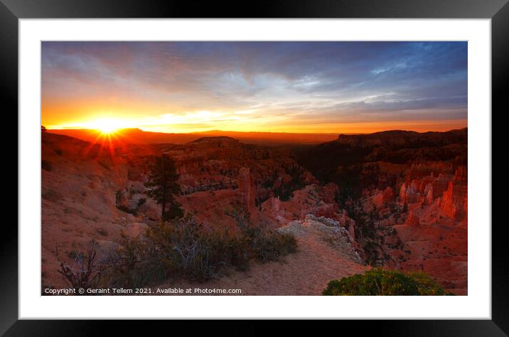 Summer sunrise over Bryce Canyon, Utah, USA Framed Mounted Print by Geraint Tellem ARPS