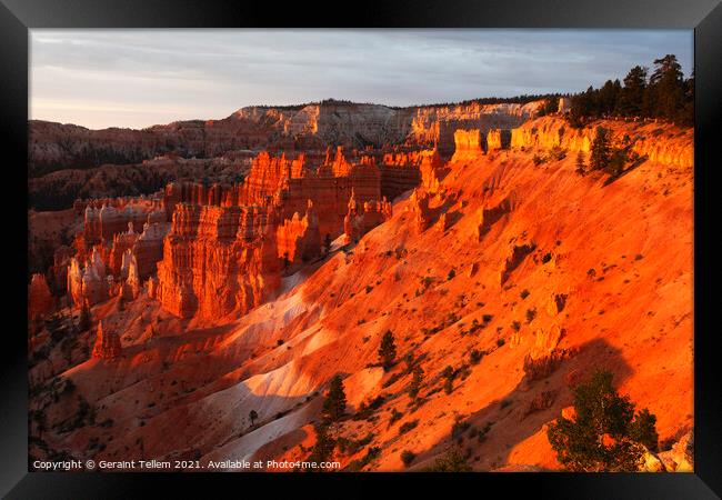 Bryce Canyon from Sunrise Point, early summer morning light Framed Print by Geraint Tellem ARPS