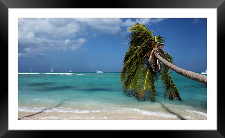 Pigeon Point, Tobago, Caribbean Framed Mounted Print by Geraint Tellem ARPS
