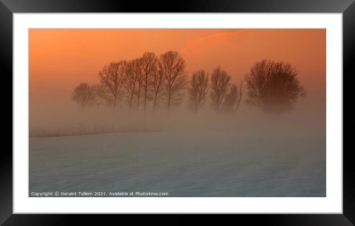 Trees in freezing mist, Norfolk, UK Framed Mounted Print by Geraint Tellem ARPS