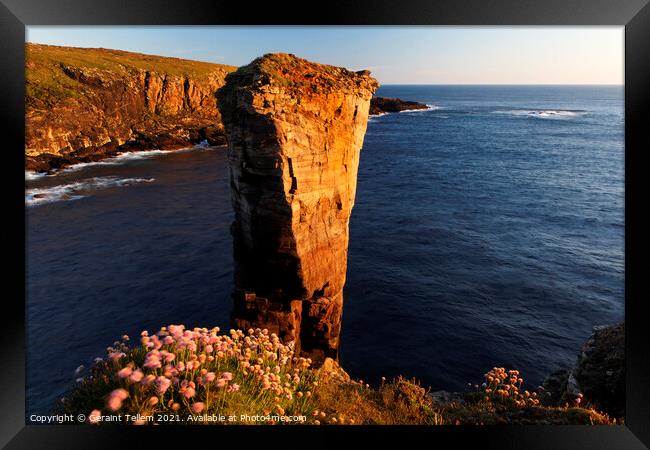 Yesnaby Sea Stack, West Mainland, Orkney Islands Framed Print by Geraint Tellem ARPS