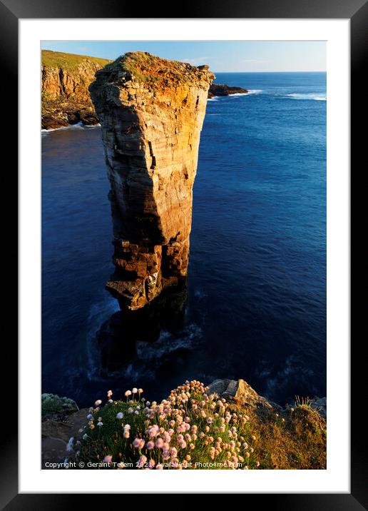 Yesnaby Sea Stack, West Mainland, Orkney Islands Framed Mounted Print by Geraint Tellem ARPS