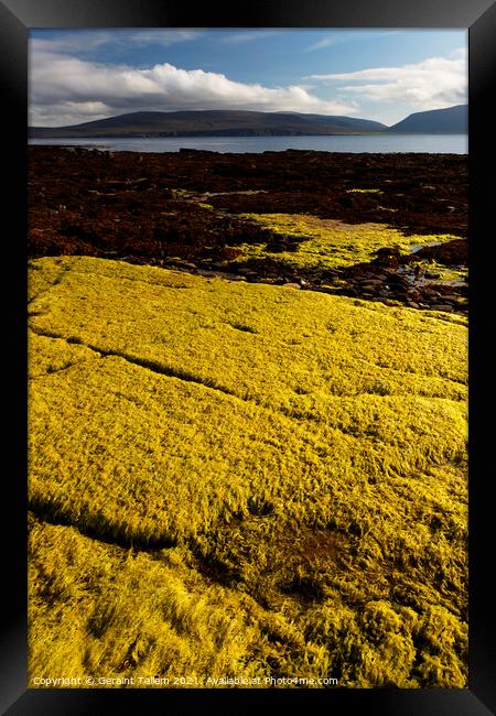 The coast of Hoy from Petertown, near Stromness, Orkney Islands Framed Print by Geraint Tellem ARPS