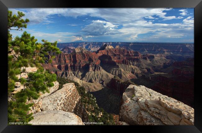 Grand Canyon, Arizona, USA Framed Print by Geraint Tellem ARPS