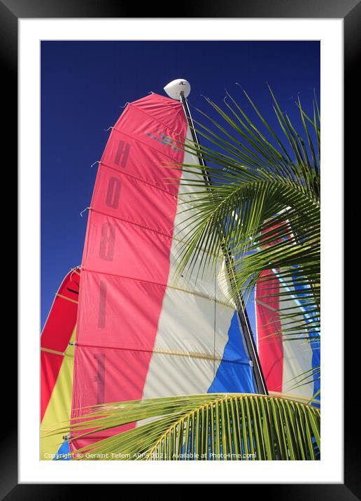 Catamaran sails near Port St Charles, west coast, Barbados Framed Mounted Print by Geraint Tellem ARPS