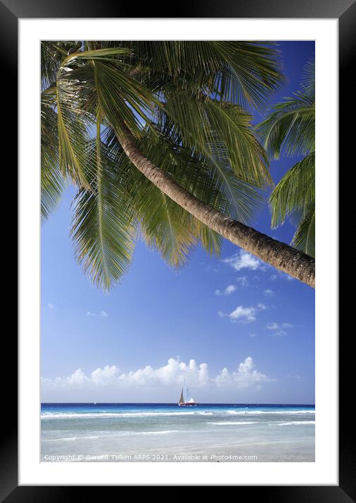 Beach scene, Southern Barbados, Caribbean Framed Mounted Print by Geraint Tellem ARPS