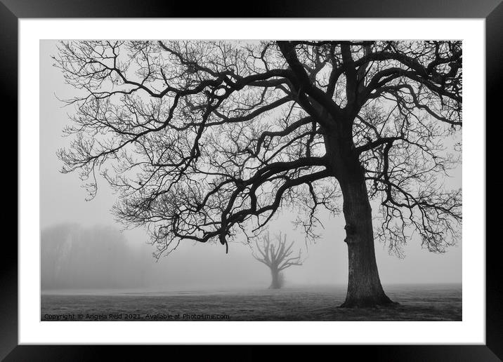 Misty Trees Framed Mounted Print by Reidy's Photos