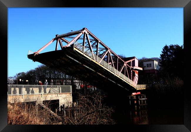 Bridge over the River Cart. Framed Print by ANN RENFREW