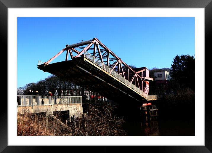 Bridge over the River Cart. Framed Mounted Print by ANN RENFREW