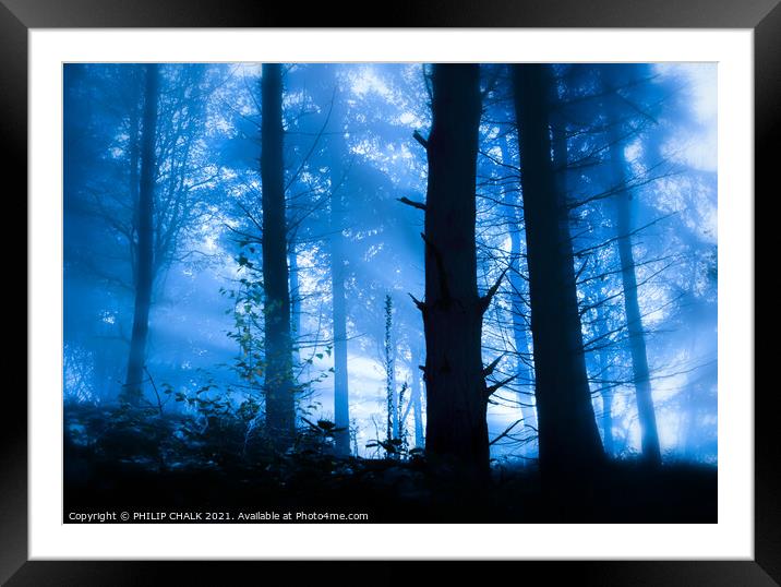 cold woodland sunrise 591 Framed Mounted Print by PHILIP CHALK