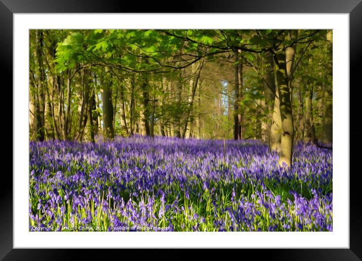 Bluebell spring 625 oil painting effect Framed Mounted Print by PHILIP CHALK