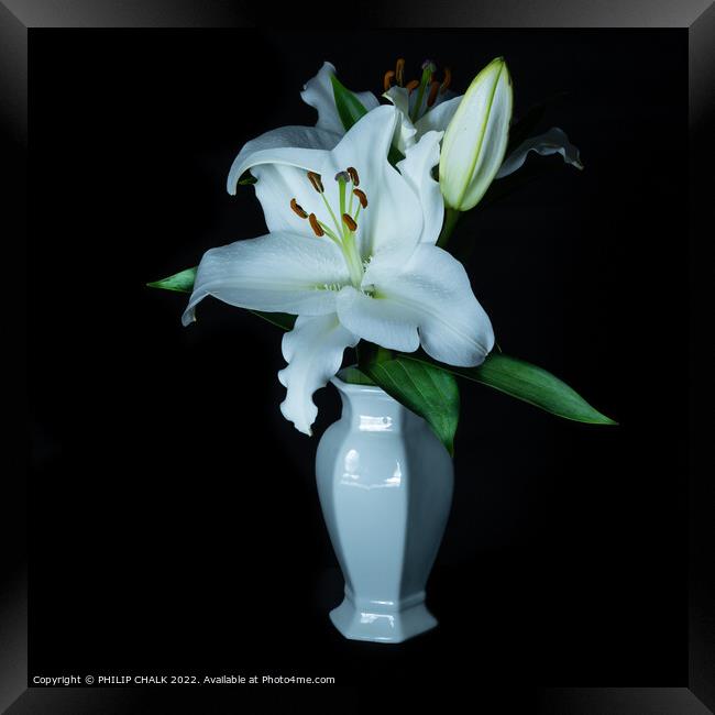 White Lily in a vase 677 Framed Print by PHILIP CHALK