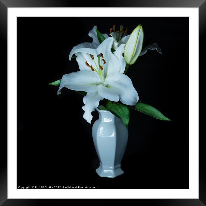 White Lily in a vase 677 Framed Mounted Print by PHILIP CHALK