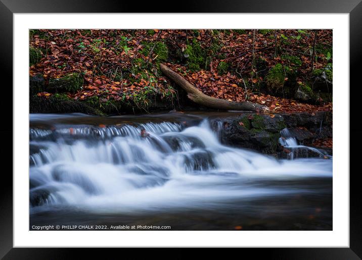 Autumn woodland waterfall 685 Framed Mounted Print by PHILIP CHALK
