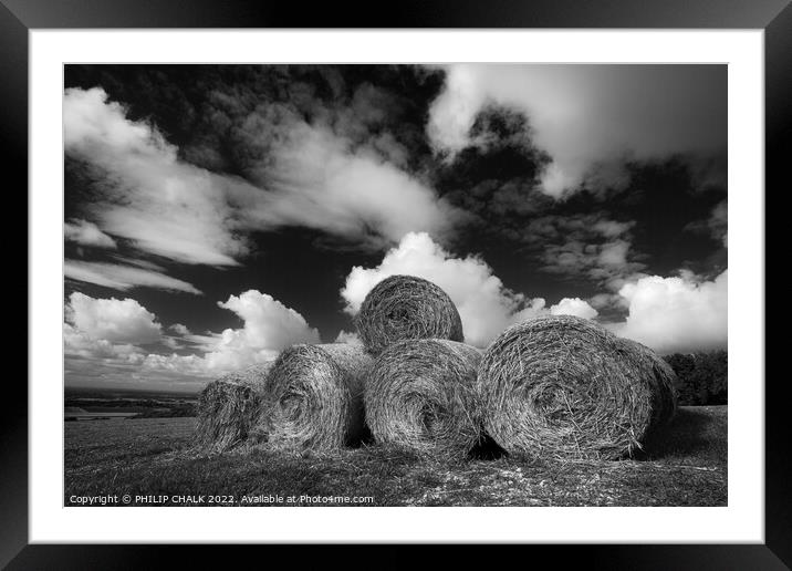 Hay bales landscape in black and white. 798 Framed Mounted Print by PHILIP CHALK