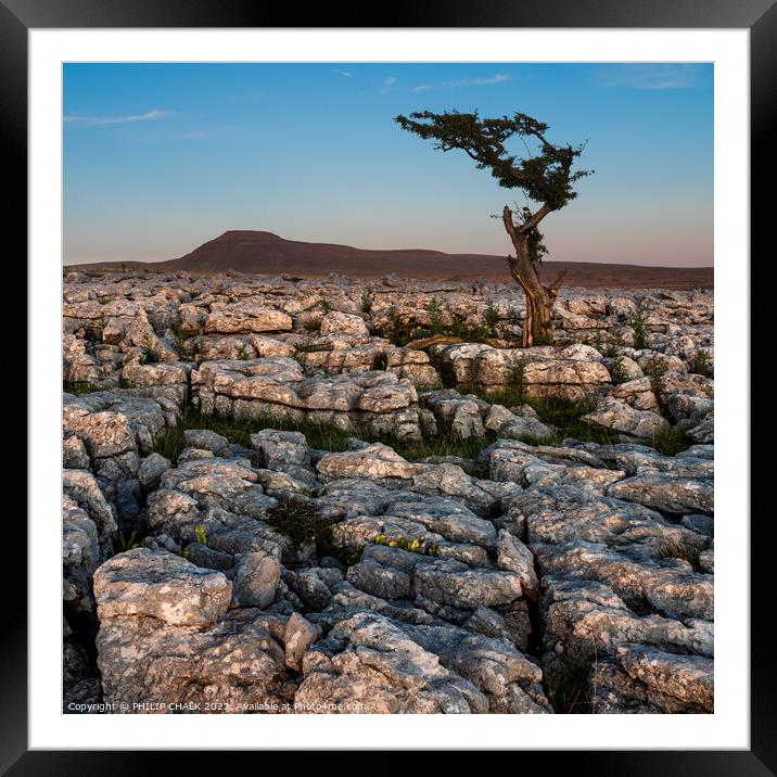 Desolate Yorkshire dales 808  Framed Mounted Print by PHILIP CHALK