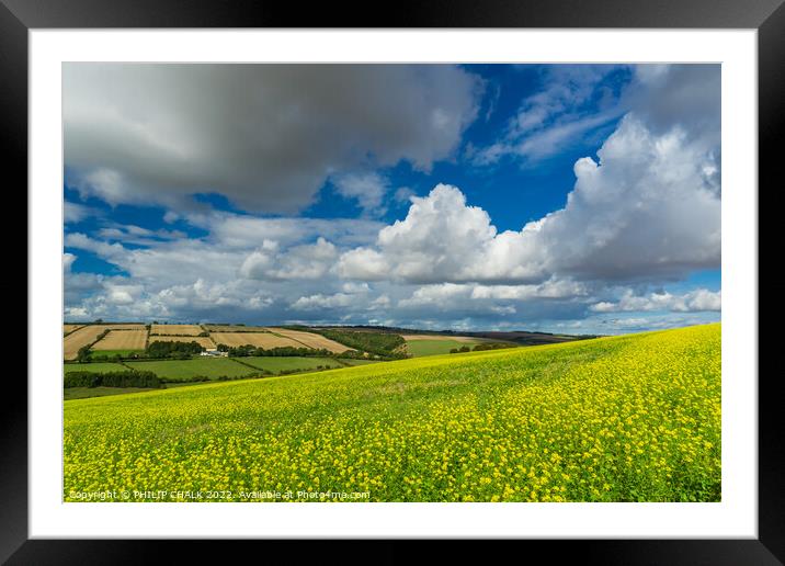 The colourful Yorkshire Wolds next to Millington and Pocklington  810 Framed Mounted Print by PHILIP CHALK