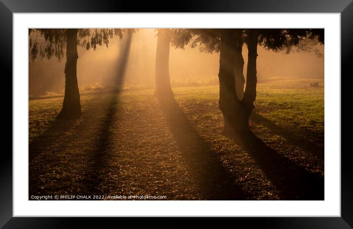 Misty trees with a sunset 823  Framed Mounted Print by PHILIP CHALK