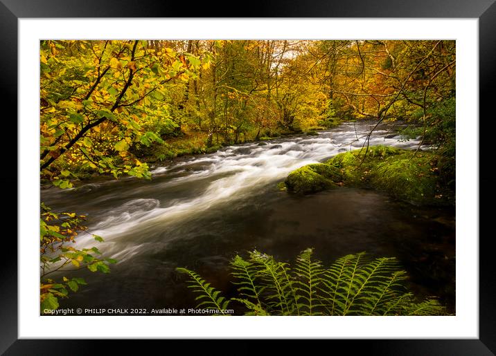 The river Rothay in the lake district on an Autumn day.  Framed Mounted Print by PHILIP CHALK