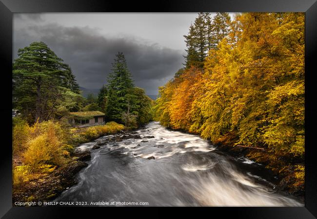 Autumn Falls of Dochart 955 Framed Print by PHILIP CHALK