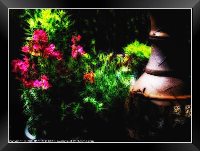 Summer flower garden glow 19 soft arty  Framed Print by PHILIP CHALK