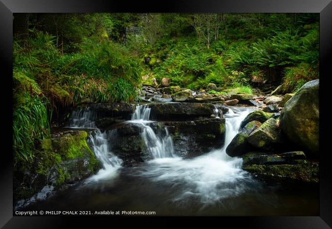 Magical woodland with a waterfall in Cumbria near Cockermouth 69 Framed Print by PHILIP CHALK