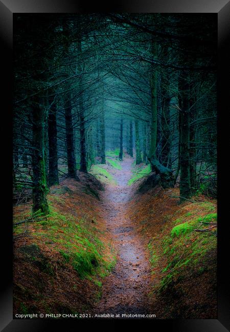 Enchanted Surreal  Cropton forest in North Yorkshire 90 Framed Print by PHILIP CHALK