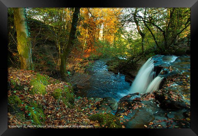 Autumn scene at Crackpot falls in the Yorkshire dales 146 Framed Print by PHILIP CHALK