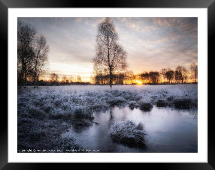 Lone tree on Strensall common York sunrise 162 Framed Mounted Print by PHILIP CHALK