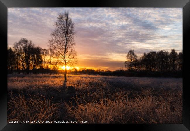 Sunrise on the common  Framed Print by PHILIP CHALK