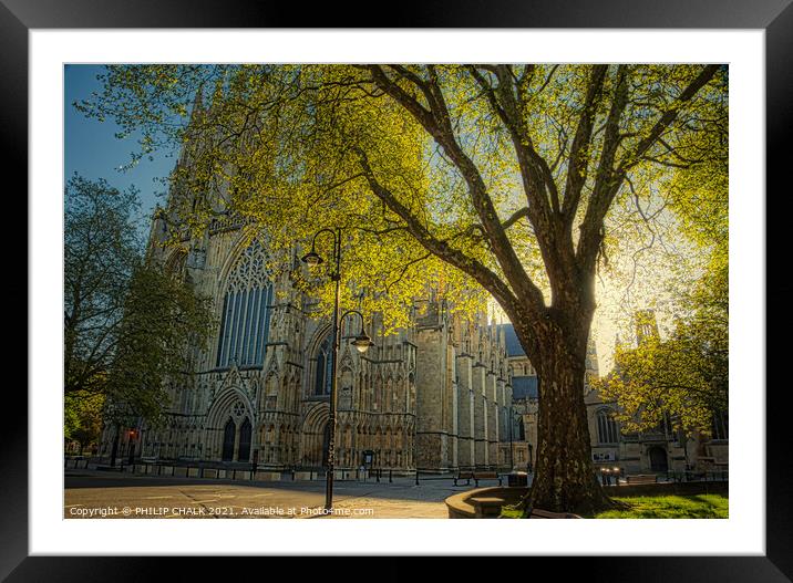 York Minster spring sunrise 181 Framed Mounted Print by PHILIP CHALK