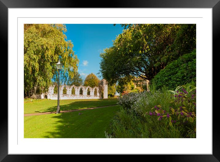 York museum gardens 271  Framed Mounted Print by PHILIP CHALK
