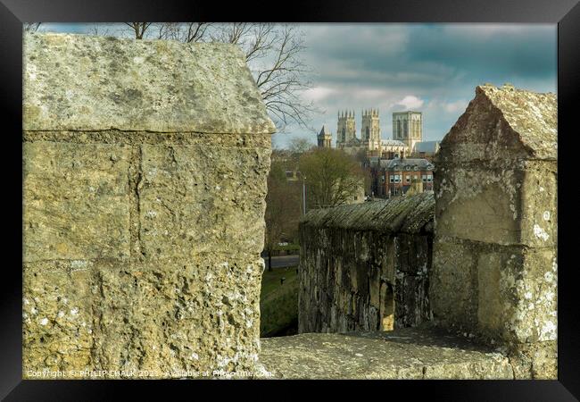 York minster from the bar walls 339  Framed Print by PHILIP CHALK