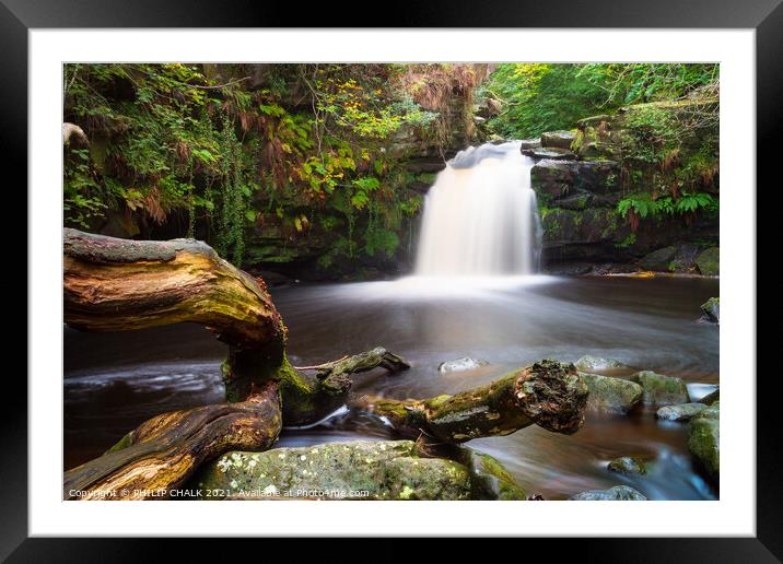 Thomason foss waterfall in the Yorkshire moors. 34 Framed Mounted Print by PHILIP CHALK