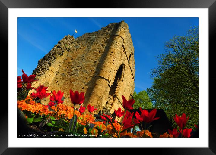 Knaresborough castle in the sunshine 349  Framed Mounted Print by PHILIP CHALK