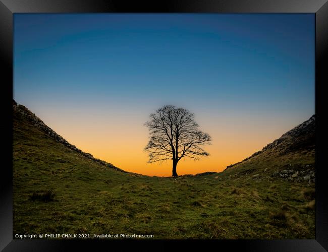 Sycamore gap sunset 372  Framed Print by PHILIP CHALK