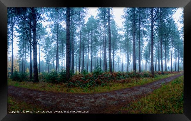 Misty woodland 374  Framed Print by PHILIP CHALK
