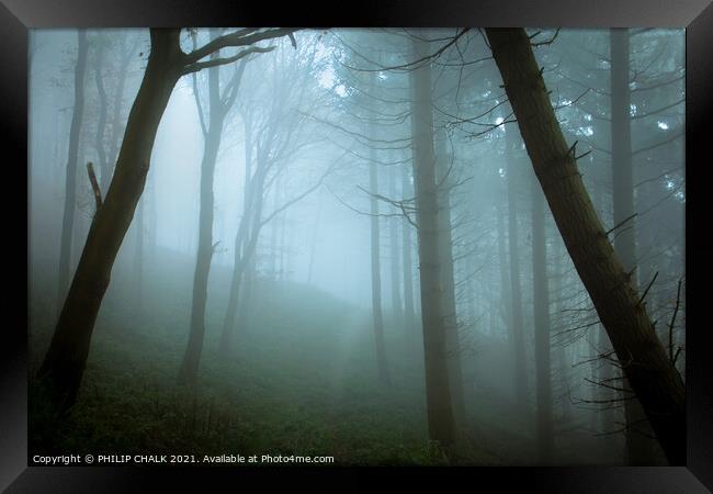 Misty woodland scene 375  Framed Print by PHILIP CHALK