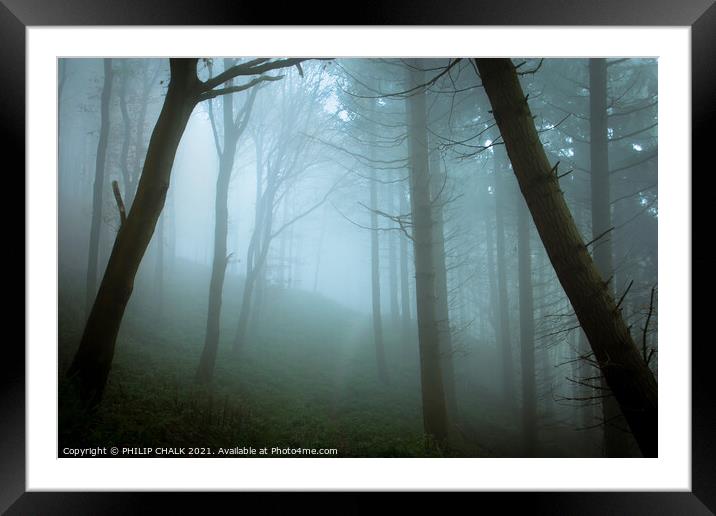 Misty woodland scene 375  Framed Mounted Print by PHILIP CHALK