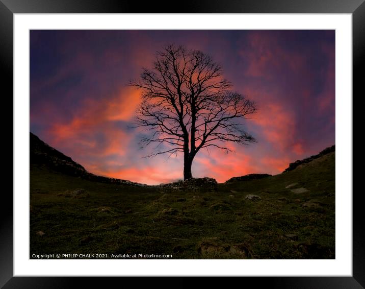 Sycamore gap sunset 379  Framed Mounted Print by PHILIP CHALK
