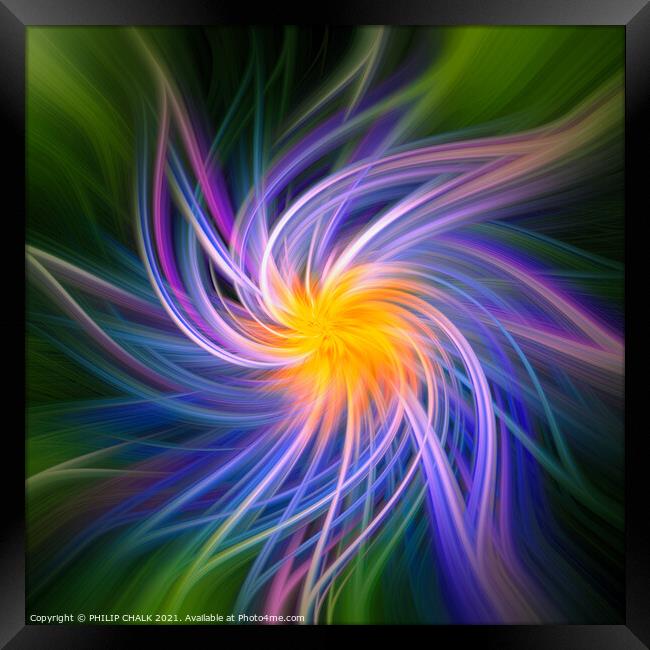 Flower abstract 396  Framed Print by PHILIP CHALK