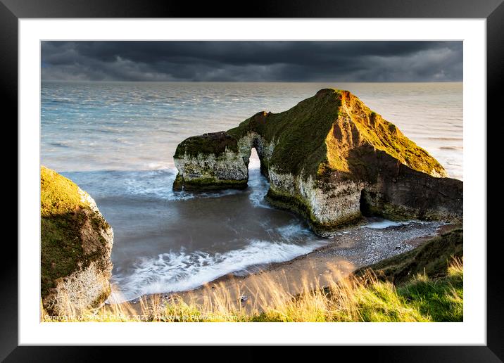 The drinking Dinosaur at Flamborough head 403  Framed Mounted Print by PHILIP CHALK