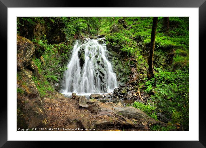 Tom Gill waterfall, Tarn howes, Coniston, lake district  Framed Mounted Print by PHILIP CHALK